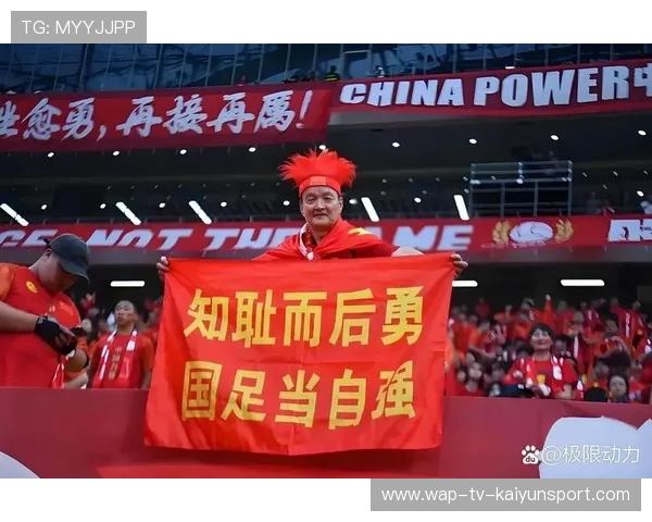 中国足球市场化运作与俱乐部商业化健康发展路径，我国职业足球俱乐部发展的问题