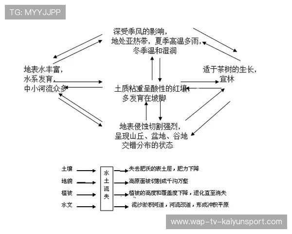 怕耽误高考？高中竞赛利弊全解析，高中的竞赛